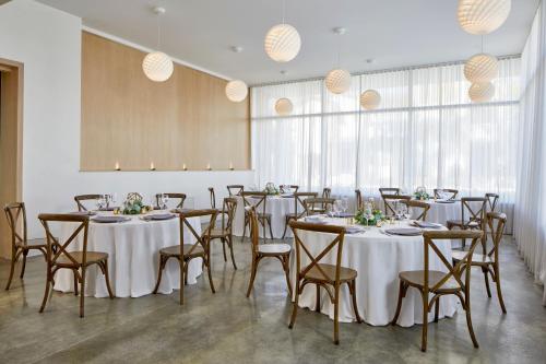 The Sarasota Modern a Tribute Portfolio Hotel - image 11
