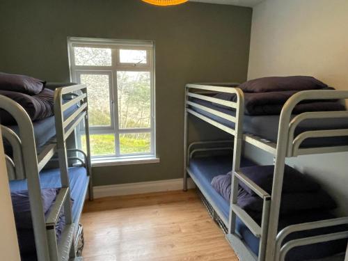 Ben Lettery Hostel Room Type - Bed in 4-Bed Mixed Dormitory Room