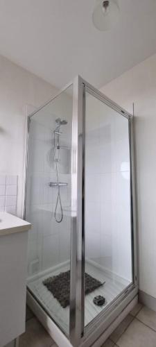 Spacious apt near the sea in Saint-Malo in Parame