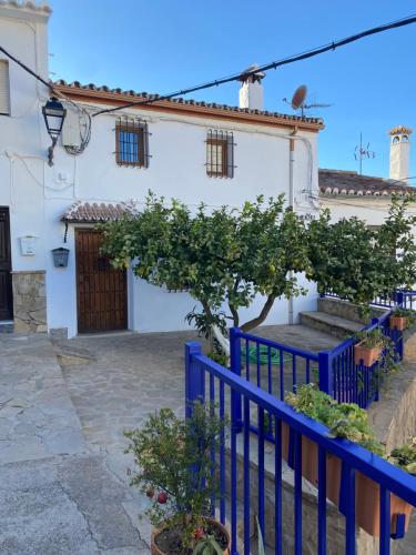 Beautiful Traditional town house