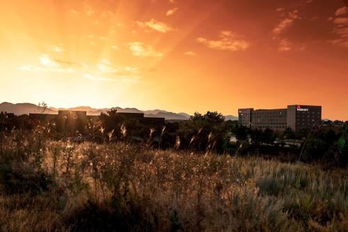 Denver Marriott Westminster