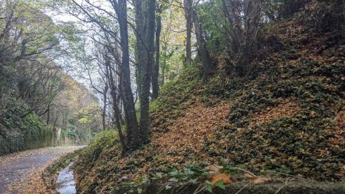 المنطقة المحيطة, Seaside guest house a stone's throw from the beach in هولوكومبى