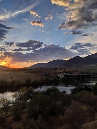 El Abigero in ลา เฟรย์เจเนดา