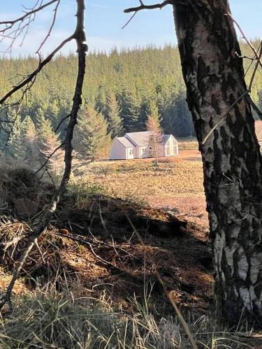 Remote Wilderness - sleeps 4 to 6 gîte à louer Loch More