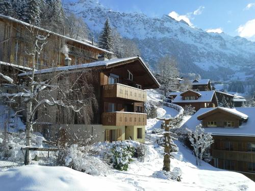 Chalet Gerbera - Apartment - Wengen