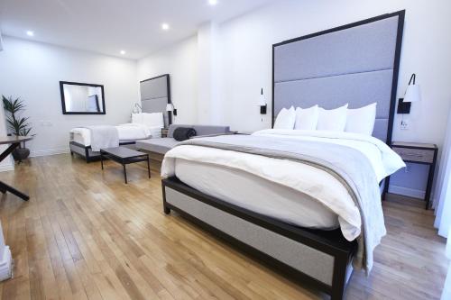 2 double beds, 1 sofa bed
