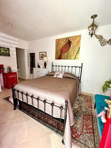 Small pet friendly, Pool and Gym Apartment in San Miguel de Allende, Mexico