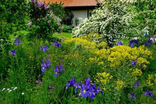 สวน, Gîte Belsoulel au cœur du Tarn (Gite Belsoulel au cœur du Tarn) in ลาโวร์