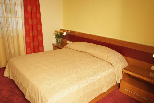 Hotel Vila Emei - image 11