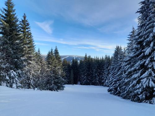 Cozy apartment in Bedřichov - Špindlerův Mlýn Spindleruv Mlyn