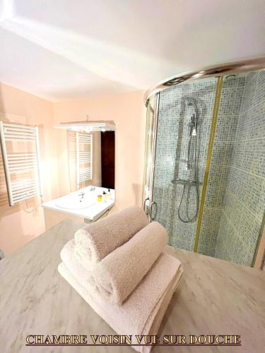 douche, Appartement charmant à Lacrost avec jardin privé - 60 m² (Appartement charmant a Lacrost avec jardin prive - 60 m²) in Lacrost