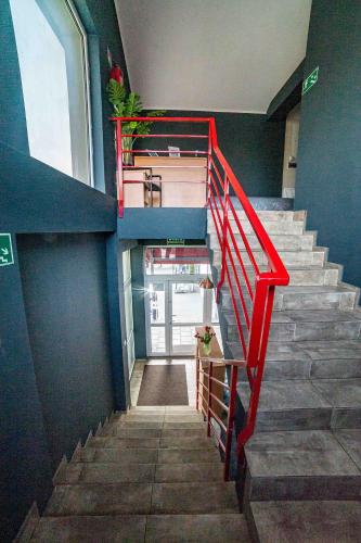 Metropol - image 11