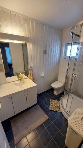 Vannas istaba, Cozy Apartment between sea and mountains in Mefjordvær