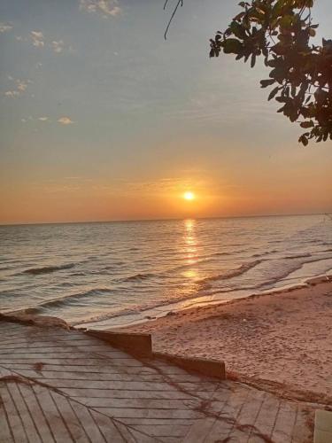 ไชยาซีวิวโฮมสเตย์ (Chaiya Seaview Homestay) in Chaiya
