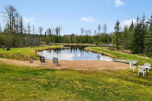 Metsamokki in Tenhola