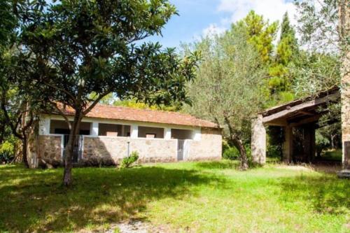 [Swimming pool with view] Tenuta la Macinaia