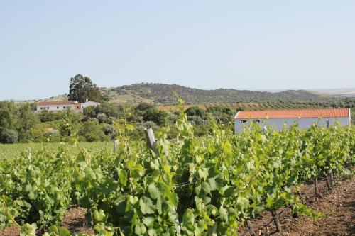 拉托艾拉斯农家乐