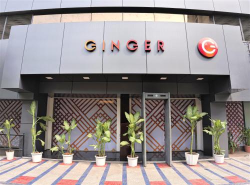 Ginger Thane, Thane