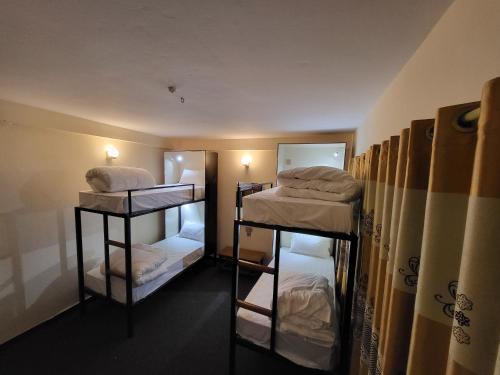 Single Bed in 6-Bed Dormitory Room