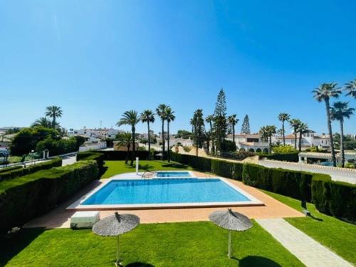 Playa flamenca beach appartment