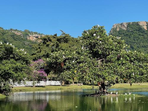 สวนน้ำ, Eden Wilds 72 in พอร์ตเอ็ดเวิร์ด