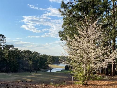 Golf Front SFH, 3 BR, 2 BA, 4 beds, sleep 6 on Pinehurst #6 in Pinehurst, USA