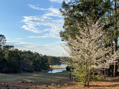 Golf Front SFH, 3 BR, 2 BA, 4 beds, sleep 6 on Pinehurst #6