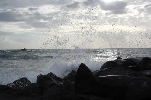 Hotel Umberto A Mare