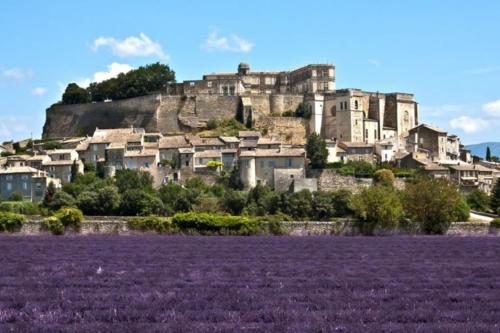 Le Patio 4*. SPA, jardin, piscine en provence, proche Grignan