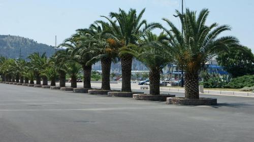 Villa Jupok 2 - image 7