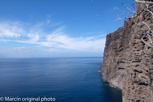 Tenerife lizards - duplex in the first line