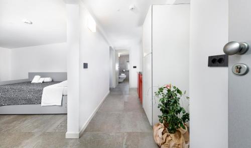 Mini Suite (3 adulti) - image 4