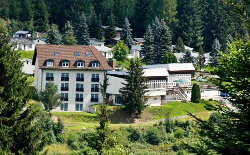 Waldhotel-Feldbachtal - Hotel - Neuhaus am Rennweg