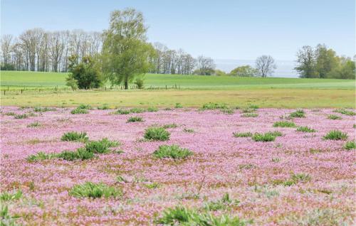 Fischerdorf Zirchow - image 11