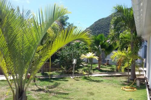 Bungalow mérou waliwa vue idyllique sur la baie des Saintes