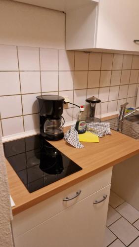 Innenstadt-Appartement, Drážďany (fotografie 3)