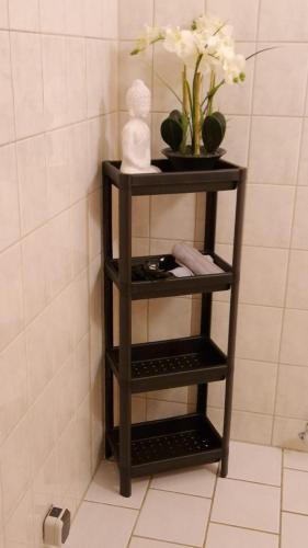 Innenstadt-Appartement, Drážďany (fotografie 6)