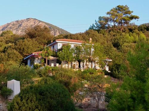 The Lazy Olive private villa and natural pool near antique Olympos