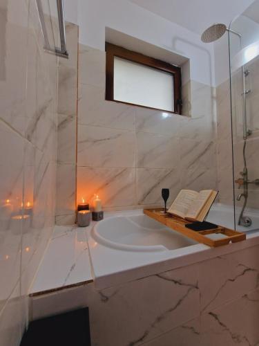 Airport Easy Link near Iași International Airport