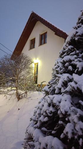 Sudecka Ostoja z Balią i Sauną - Apartment - Lubawka