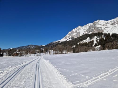 Appartement BERGTRÄUME
