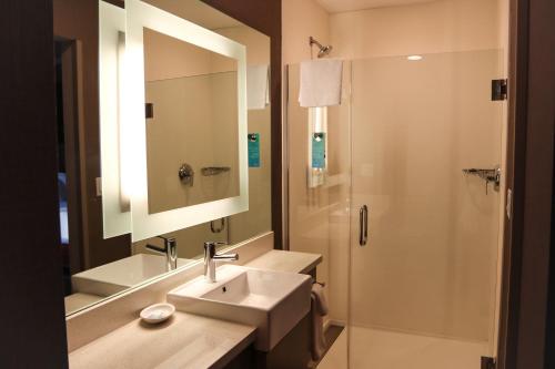 Springhill Suites Baltimore White Marsh/Middle River - image 5