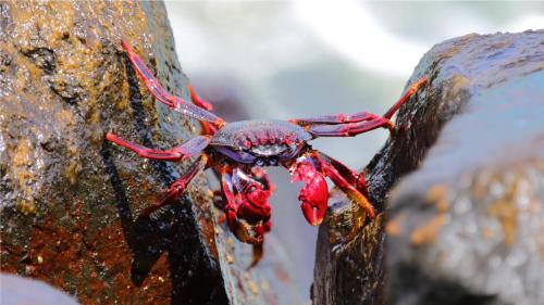 Esmeralda Cotillo Homes by LIVVO