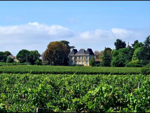 . Chateau Tanesse de Tourny