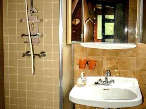 Bathroom, Holiday Home in the middle of nature near the Rothaarsteig in Oberhundem