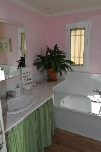 Junior Suite with Terrace image 6