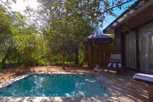 433774636 Safari Moon Luxury Bush Lodge