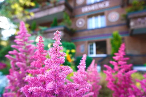 ERMITAGE Wellness- & Spa-Hotel - image 12