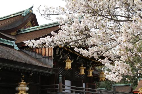 Stay SAKURA Kyoto Nijo Rikyu - image 2
