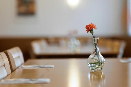 OREA Hotel Voronez II Brno - image 9